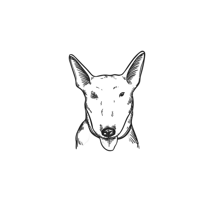 Butters - The Real Boss of Mijo Gordito